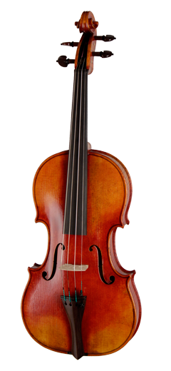 violine
